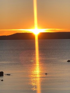 WhatsApp Image 2026-02-05 at 17.15.58.jpeg